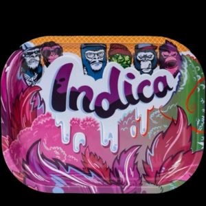 indica-colourful-mini-tray